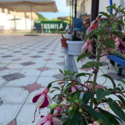 Фото Отель Людмила