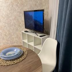 1-комнатные апартаменты стандарт г. Петропавловск-Камчатский, пр. 50 лет Октября, д. 20/1