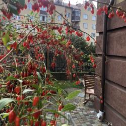 Фото Отель Salve (Сальвэ)