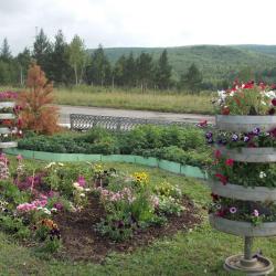 Фото Отель Платина