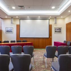 фото 60 Holiday Inn Moscow Sokolniki (Холидей Инн Москва Сокольники)