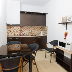 Фото Апартаменты New Gudauri Rooms (Нью Румс)