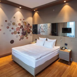 Фото Отель Ibis Styles Красная Поляна (Ибис Стайлс)
