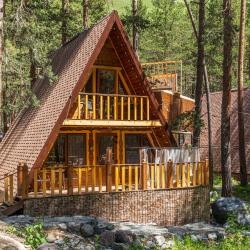 Коттедж премиум