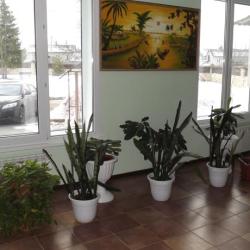 Фото Отель Лихвинские воды Санаторий