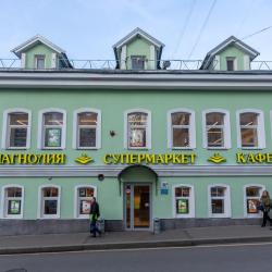фото 43 Птичка