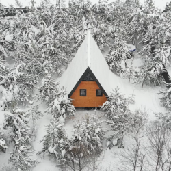 Фото Отель Кусочек рая в соснах