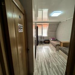 Фото Отель Гостевой дом Пчелка