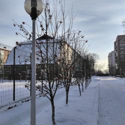 Фото Отель Полосухинский