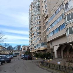 Апартаменты стандарт улица Ленсовета, 43к3