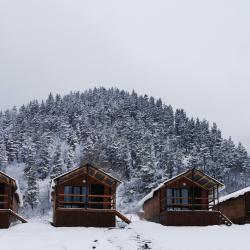 Фото Отель Arkhyz Family Lodge ( Фэмили Лодж)