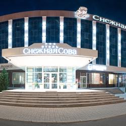 фото 6 Снежная сова