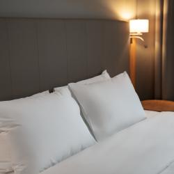 Cosmos Omsk Hotel (Космос Омск) — f7e7eb9a1df1260b6768732035c4280c