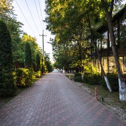 Фото Парк-отель ПОЛЯНА