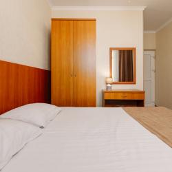 2-местный номер стандарт с 1 двуспальной кроватью