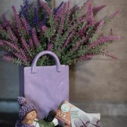 1-комнатные апартаменты стандарт №2