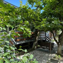 Фото Отель Дзен