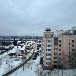 Апартаменты стандарт Плеханова 96-32 (3-ком в центре)