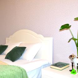 Фото Отель ЭмиЛи на улице Конструкторов 29А к1