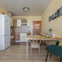 Фото Апартаменты на улице Родионова 192 корпус 4