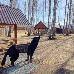 Фото Отель Митькина заимка