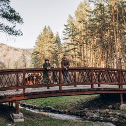 Фото Отель Деревня Берендеевка
