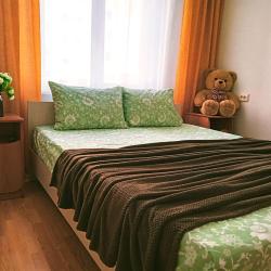 1-комнатные апартаменты студия город Чебаркуль, ул.Заря, д.29а (мансарда)