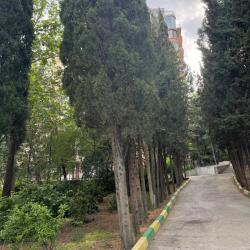 3-комнатные апартаменты люкс