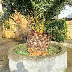 Фото Отель Эрика