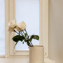 фото 33 Грифон
