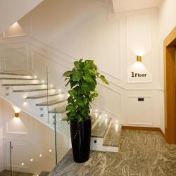 Фото Отель Revive Boutique Hotel (Ревив Бутик)