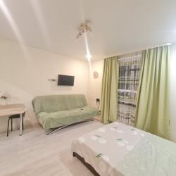 1-комнатные апартаменты студия