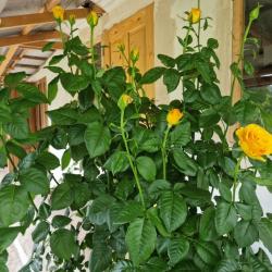 Фото Отель База отдыха Страна души