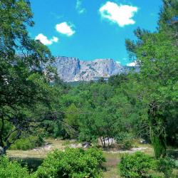 Фото Отель Жуковка