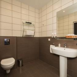 Номер комфорт бизнес с 1 двуспальной кроватью и диваном