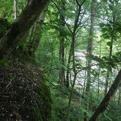 Фото Отель Всесезонный курорт Беной