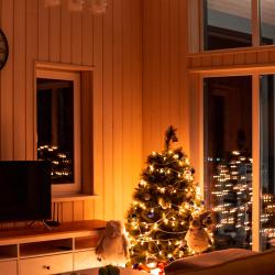 Фото Отель Efimonovo Life (Ефимоново Лайф)