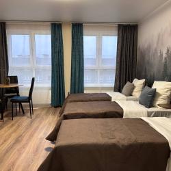 Фото Апартаменты на улице Романовская 17