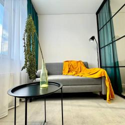 1-комнатные апартаменты студия Зеленоградск, ул. Приморская 31