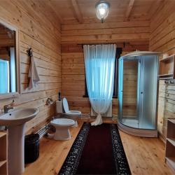 Коттедж премиум Жуковский