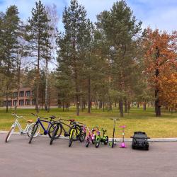 Фото Отель Лесная ласточка