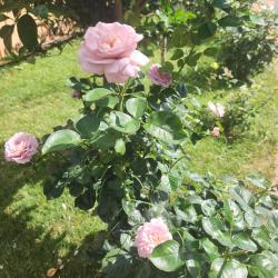 Фото Отель с