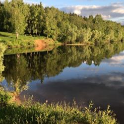 Фото Отель Дельфин
