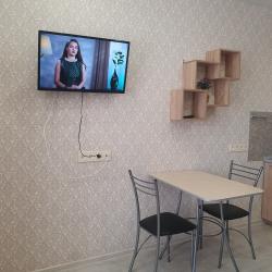 Фото Апартаменты на улице Лызина 9