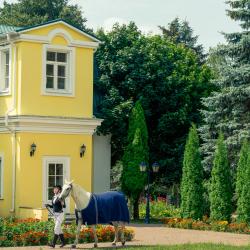 Фото Отель Лесное