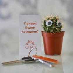 Апартаменты улучшенные