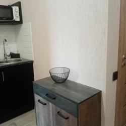 Фото Апартаменты Floris Apartments (Флорис Апартменс) на улице Коломенская 7