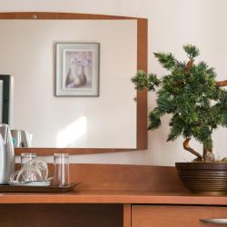 Номер стандарт улучшенный с 2 односпальными кроватями