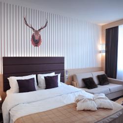 фото 14 Mercure Rosa Khutor (Меркюр Роза Хутор)