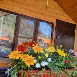 Фото Отель Green Land (Грин Лэнд)